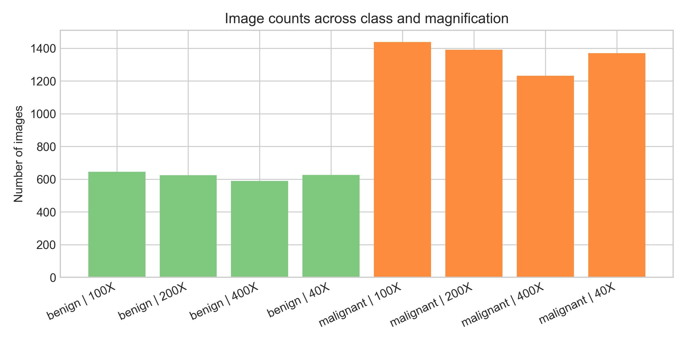 Class and magnification distribution across the BreaKHis workflow.