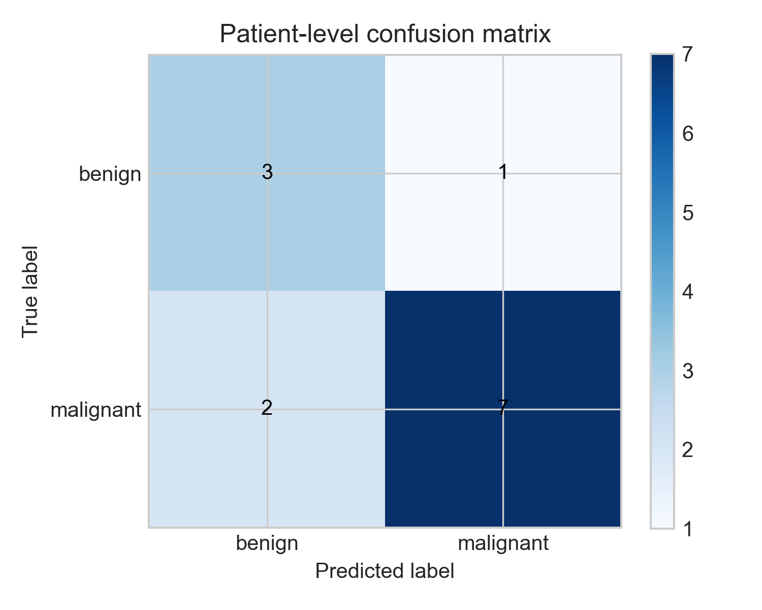 Patient-level confusion matrix for the holdout evaluation.
